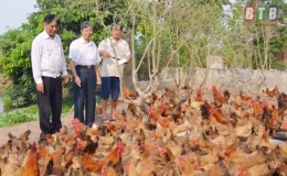 Tỏa sáng phẩm chất Bộ đội Cụ Hồ