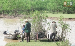 Phát triển bền vững khu bảo tồn thiên nhiên đất ngập nước Tiền Hải