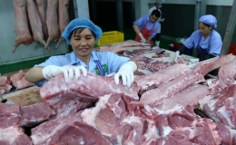 Đảm bảo cung cầu thịt lợn trước dịch tả lợn châu Phi