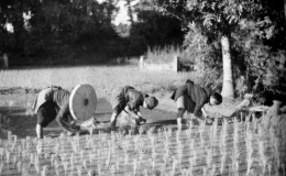 Pháo đài đồng bằng