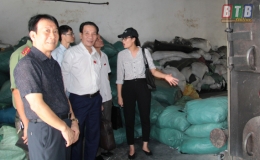 Thường trực HĐND tỉnh giám sát tại huyện Thái Thụy