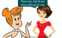 Mẹ chồng chưa hiểu hết con dâu