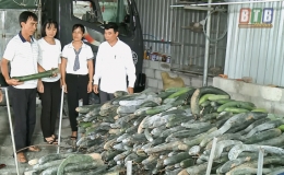Giúp nông dân tiêu thụ nông sản
