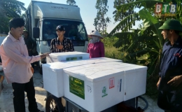 Xây dựng mô hình ứng dụng chế phẩm vi sinh vật trong nuôi tôm thẻ chân trắng