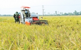 Phát động cuộc thi viết về “Người Thái Bình, đất Thái Bình”