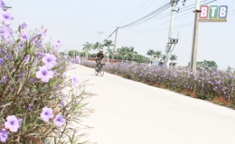 Vũ Thư: Nỗ lực hoàn thành tiêu chí môi trường