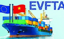 Biểu thuế xuất, nhập khẩu ưu đãi của Việt Nam để thực hiện EVFTA