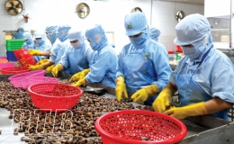 Chủ động hội nhập để thành công