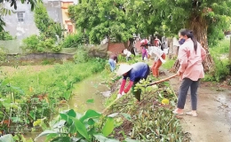 Hưng Hà: Tạo môi trường xanh, sạch, đẹp trong các khu dân cư