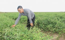 Quỹ Tín dụng nhân dân Quỳnh Hưng: Hoạt động ổn định