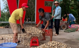 Thái Thụy nuôi trồng và khai thác thủy hải sản ước đạt gần 71.000 tấn