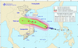 Tin bão khẩn cấp (Cơn bão số 5)