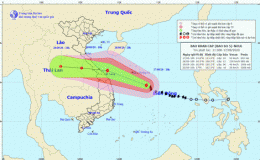 Tin bão khẩn cấp (Cơn bão số 5)