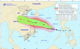 Tin bão khẩn cấp (Cơn bão số 5)