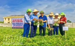 Ứng dụng khoa học kỹ thuật trong lĩnh vực nông nghiệp