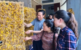 Vũ Thư phấn đấu có 2 sản phẩm OCOP đạt từ 3 sao trở lên