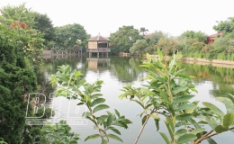 Bách Thuận: Lợi ích kép từ nhà vườn đẹp