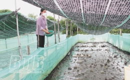 Biến ruộng thành ao, thu tiền tỷ