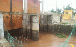 Các địa phương, đơn vị tích cực, chủ động ứng phó với bão Conson