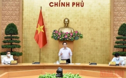 Chậm nhất đến 30/9 phải kiểm soát được tình hình tại Kiên Giang, Tiền Giang
