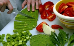 Món ăn làm từ xương rồng độc đáo ở Mexico