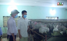 Nuôi thỏ cho nghe nhạc mang lại hiệu quả kinh tế cao