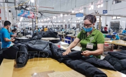 Thành phố: Gần 50 tỷ đồng nợ thuế