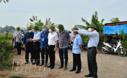 Thành phố: Tổ chức cưỡng chế thu hồi đất để thực hiện một số dự án tại xã Vũ Chính