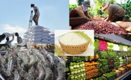 Thủ tướng Chính phủ chỉ đạo thúc đẩy sản xuất, lưu thông, xuất khẩu nông sản