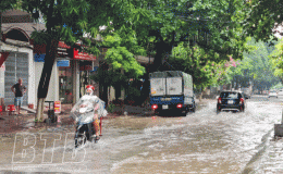 Tin cảnh báo ngập lụt do mưa lớn khu vực Thái Bình sáng ngày 14/9/2021