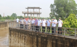 Tuyệt đối không để xảy ra tình trạng ngập úng gây ảnh hưởng đến năng suất và chất lượng cây trồng