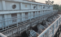 Vận hành 2 trạm bơm trên địa bàn huyện Quỳnh Phụ