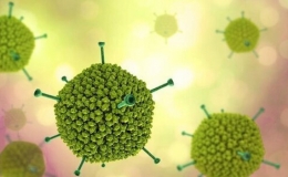 Bộ Y tế yêu cầu làm rõ nguyên nhân 6 trẻ tử vong do virus Adeno