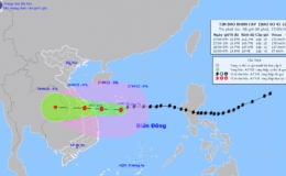 Công điện khẩn số 15/CĐ-PCTT của Ban Chỉ huy PCTT và TKCN tỉnh Thái Bình