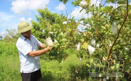 Tiền Hải: Thiết thực học và làm theo lời Bác