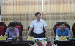 Xây dựng thương hiệu lúa gạo tỉnh Thái Bình