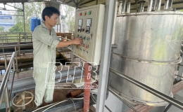 Cần bảo đảm nguồn nước sinh hoạt đạt chỉ tiêu an toàn