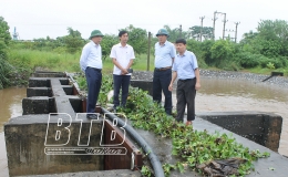 Các đồng chí lãnh đạo tỉnh: Kiểm tra công tác khắc phục hậu quả mưa úng
