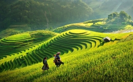 Du lịch và đầu tư xanh