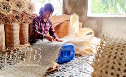 Dưỡng Thông “Phẩm giá vô đề”