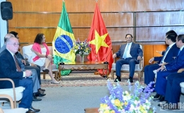 Duy trì và nâng tầm hợp tác hai Đảng Cộng sản Việt Nam và Brazil
