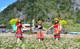 Hà Giang: Nhiều hoạt động đặc sắc sẽ diễn ra trong khuôn khổ Lễ hội hoa Tam giác mạch năm 2023