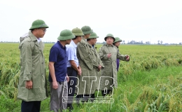 Khẩn trương khắc phục hậu quả mưa lớn gây ra