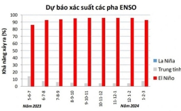 Mùa đông năm nay ấm hơn mọi năm