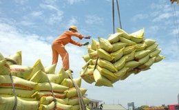 Nông sản được mùa, được giá