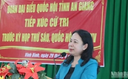 Phó Chủ tịch nước Võ Thị Ánh Xuân: An Giang phải tranh thủ các nguồn lực để phát triển kinh tế-xã hội