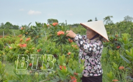 Phụ nữ Thái Bình: Khơi khát vọng, tạo động lực thực hiện nghị quyết đại hội đảng các cấp