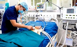 Thế giới có 5 người tử vong mỗi phút vì không được chăm sóc y tế an toàn