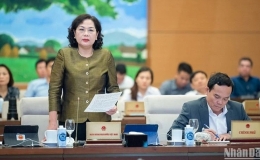 Thống đốc Ngân hàng Nhà nước: Sở hữu chéo khó có thể xử lý triệt để bằng một quy định