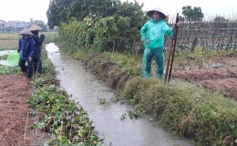 Tin cảnh báo ngập lụt khu vực cửa sông, ven biển Thái Bình 